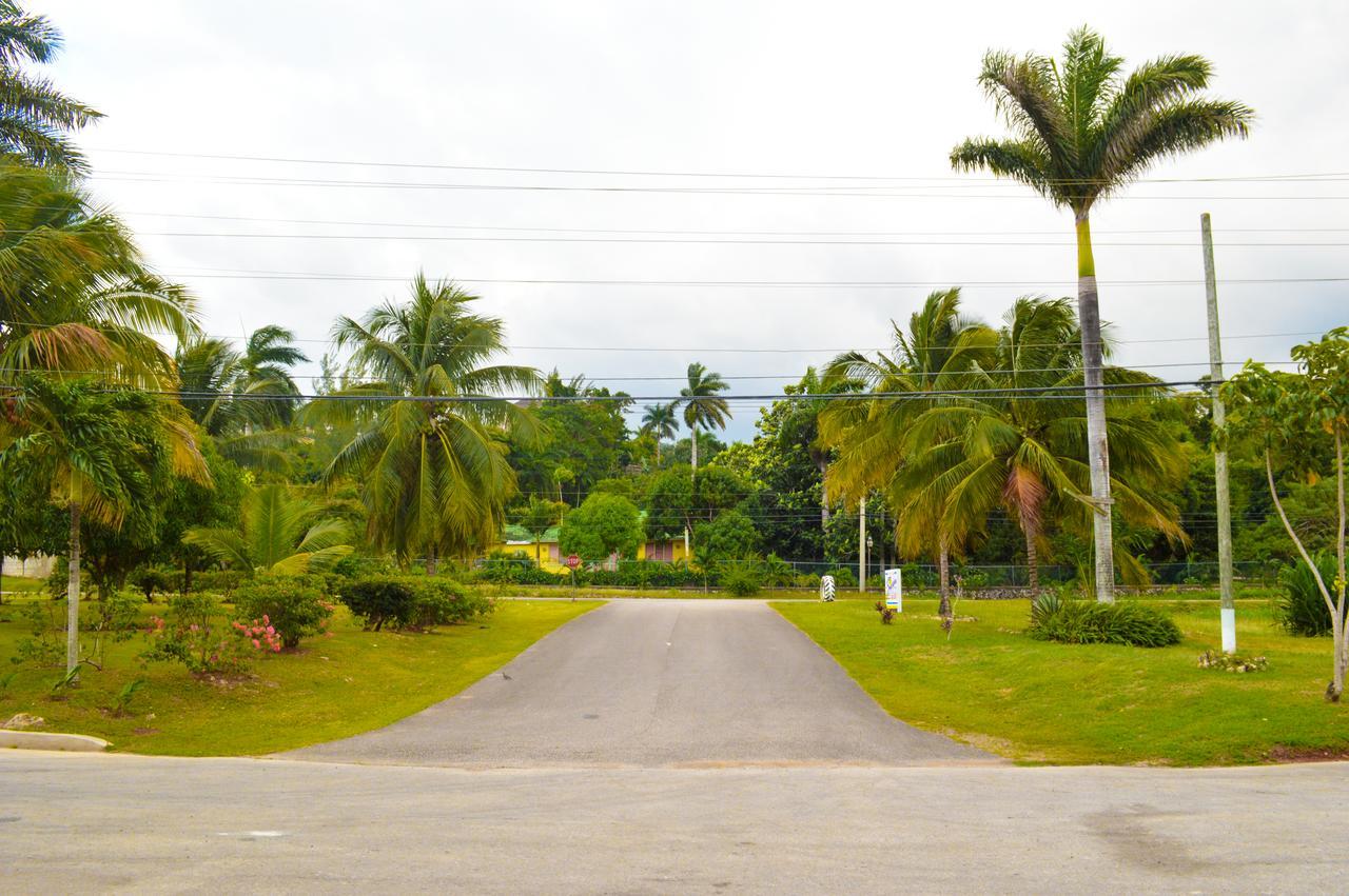 Sahara Dela Mer Inn Montego Bay Exterior photo
